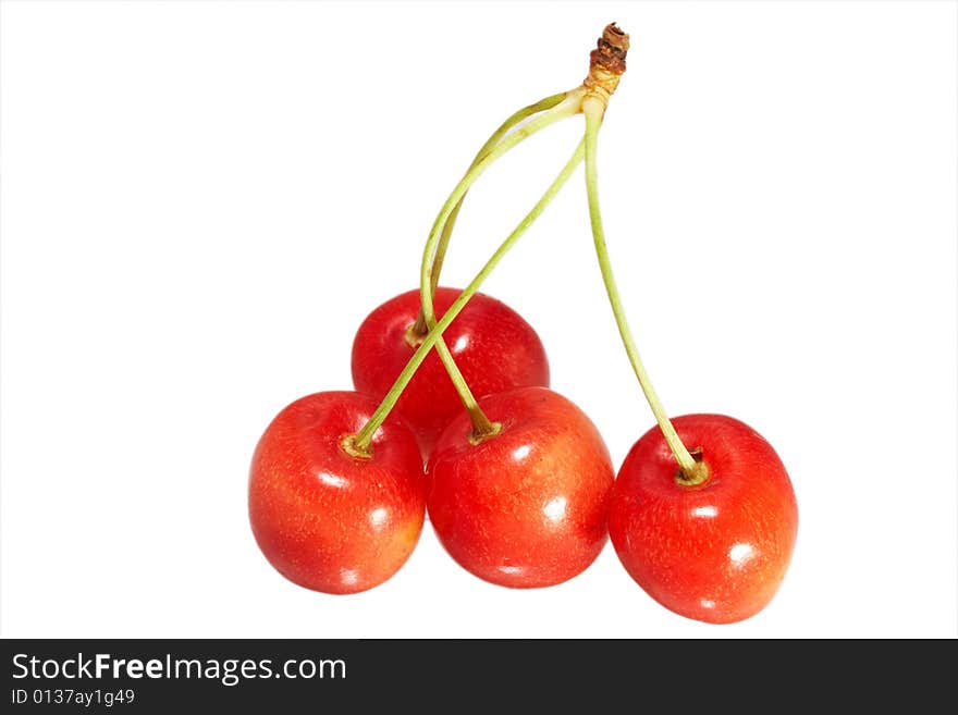 Four cherries isolated on white background