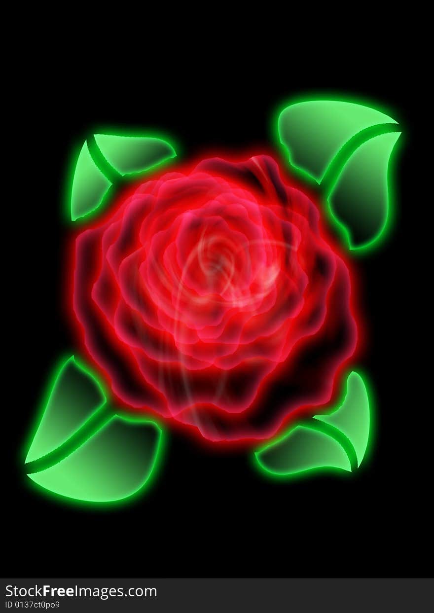 Glowing rose