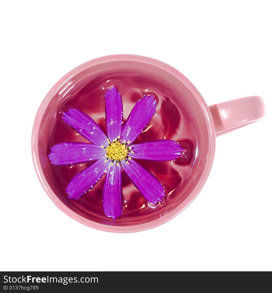 Flower in cup