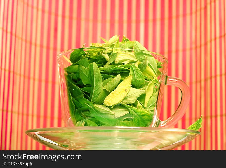 Green tea freshness. Cup full of leaves. Natural Drink.