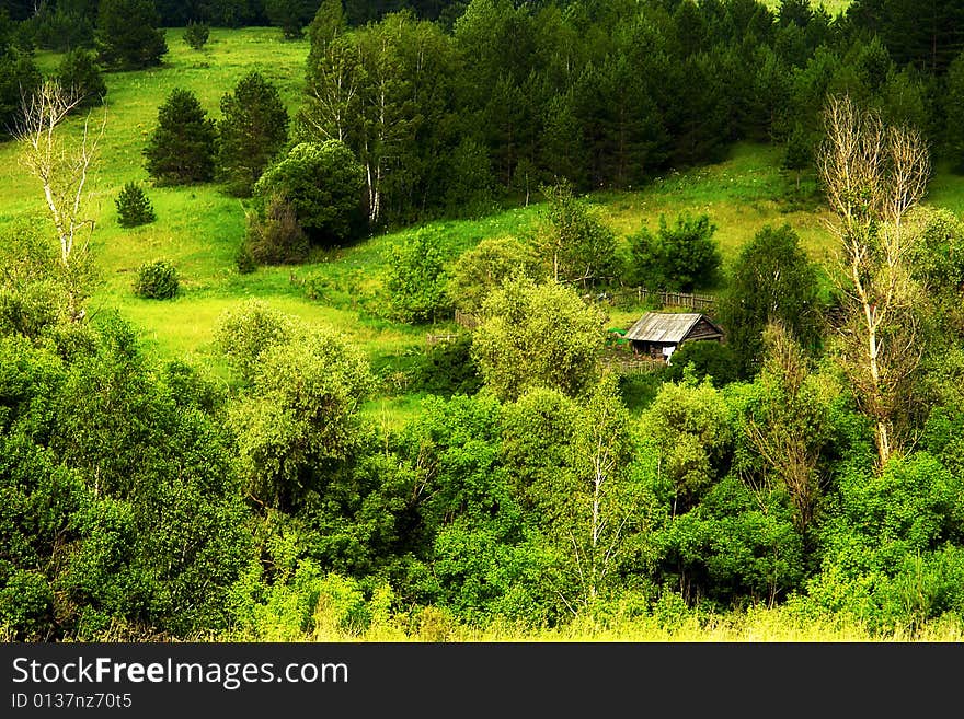 Lonely House