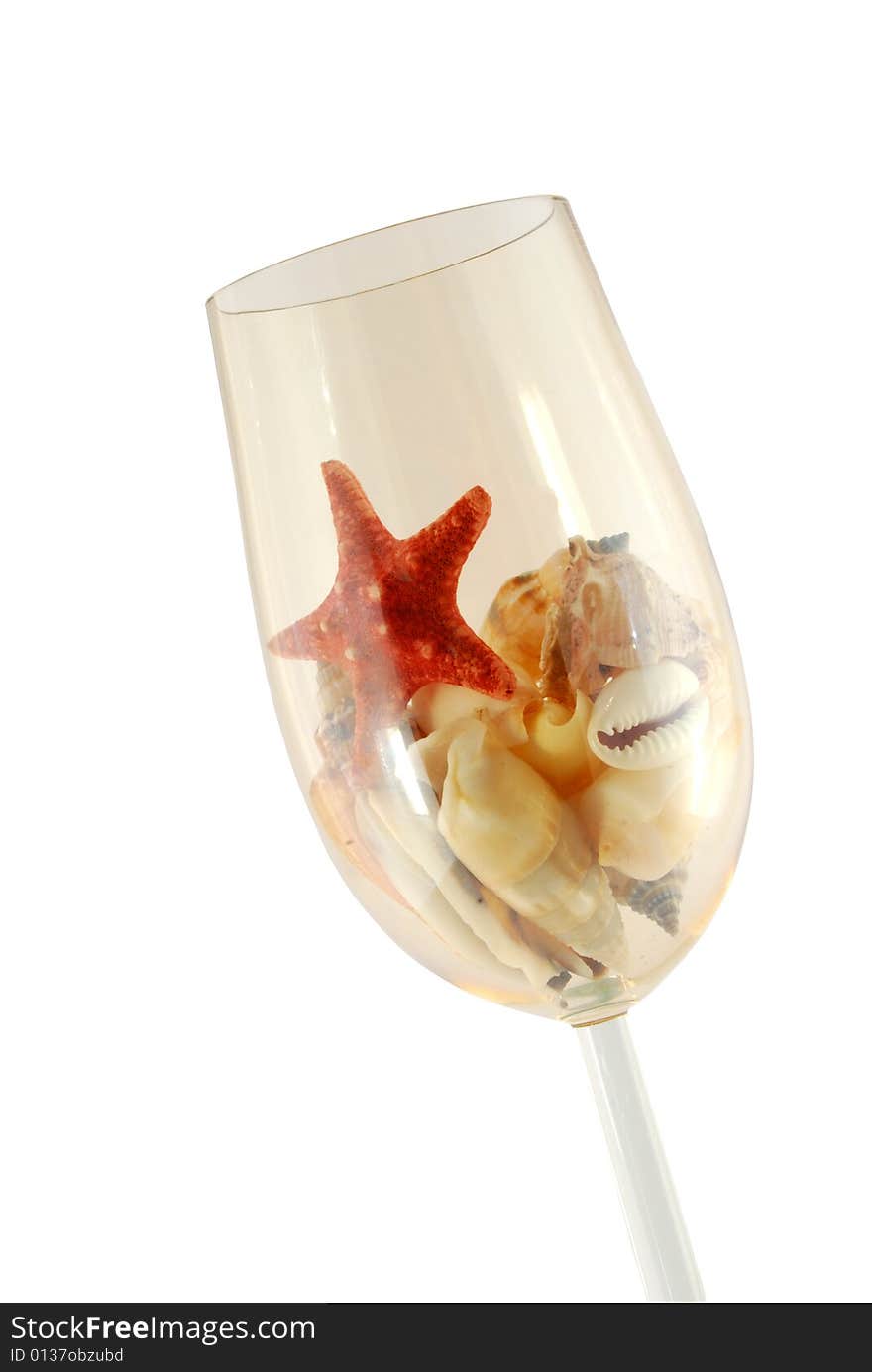 Shells in glass on the white background