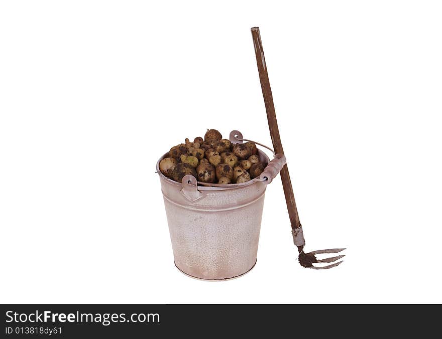 Pail full of potatoes and hoe isolated on white background