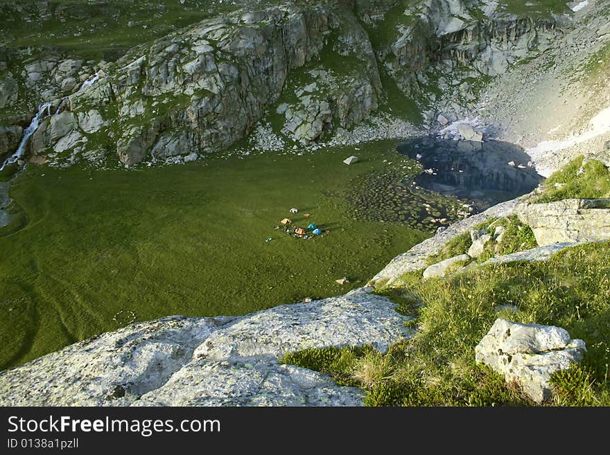 Crocus meadow in Caucasian mountains