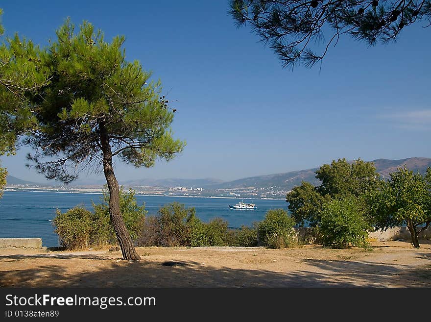 Sea landscape with motor-launch and pinetree