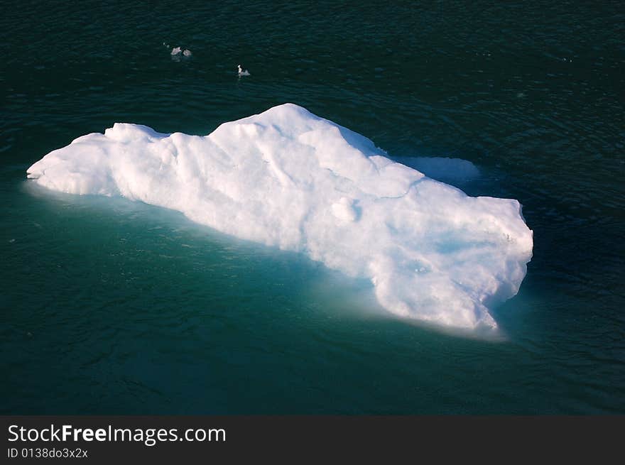 Iceberg floating on a river of alaska