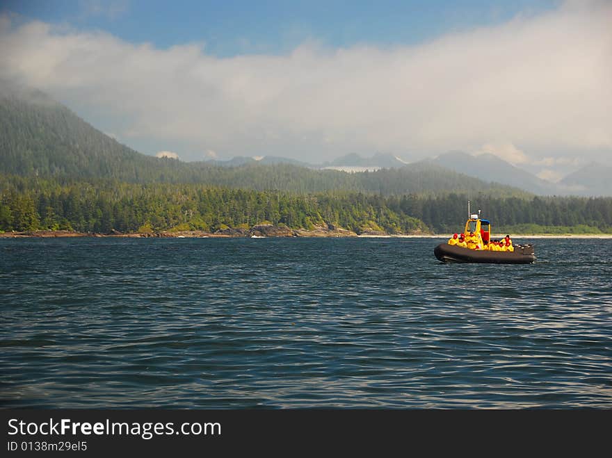 Wale watching on the shore line of Vancouver Island