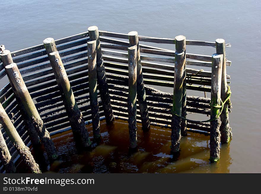 Bridge Bumpers