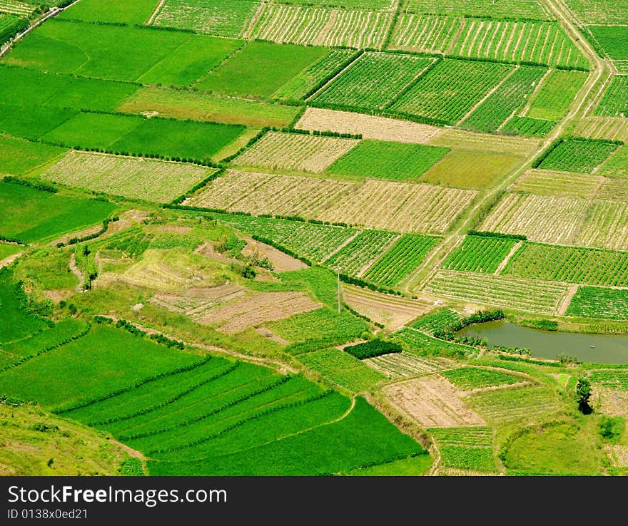 Bird's eye view green field. Bird's eye view green field