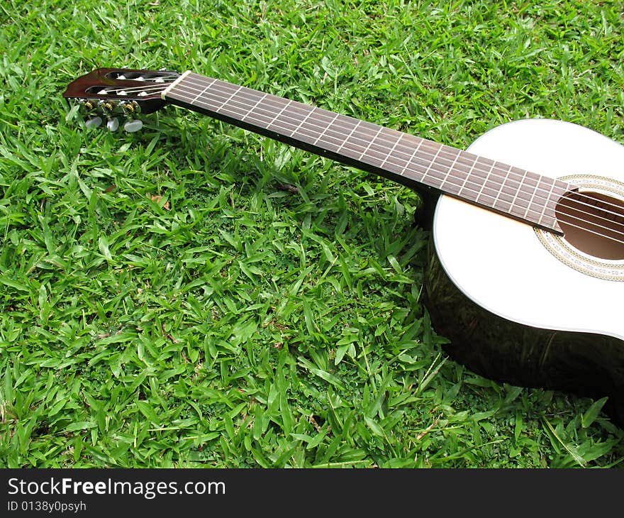 Single Guitar On Grass