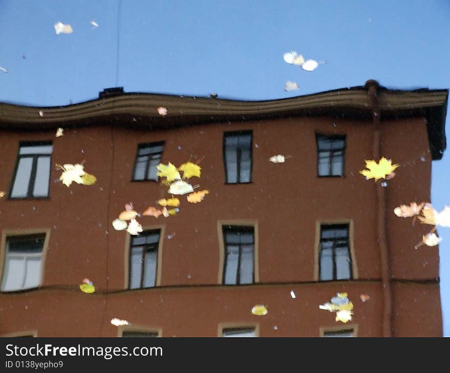 Reflection of house and swimming to down the river yellow leaves