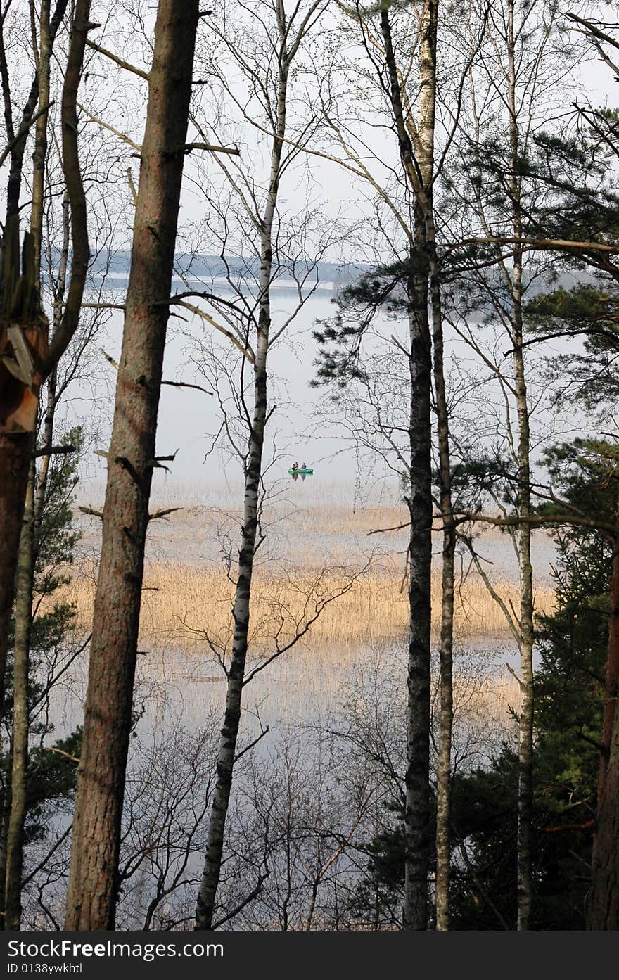 Lake, Could Be Seen Through Trees