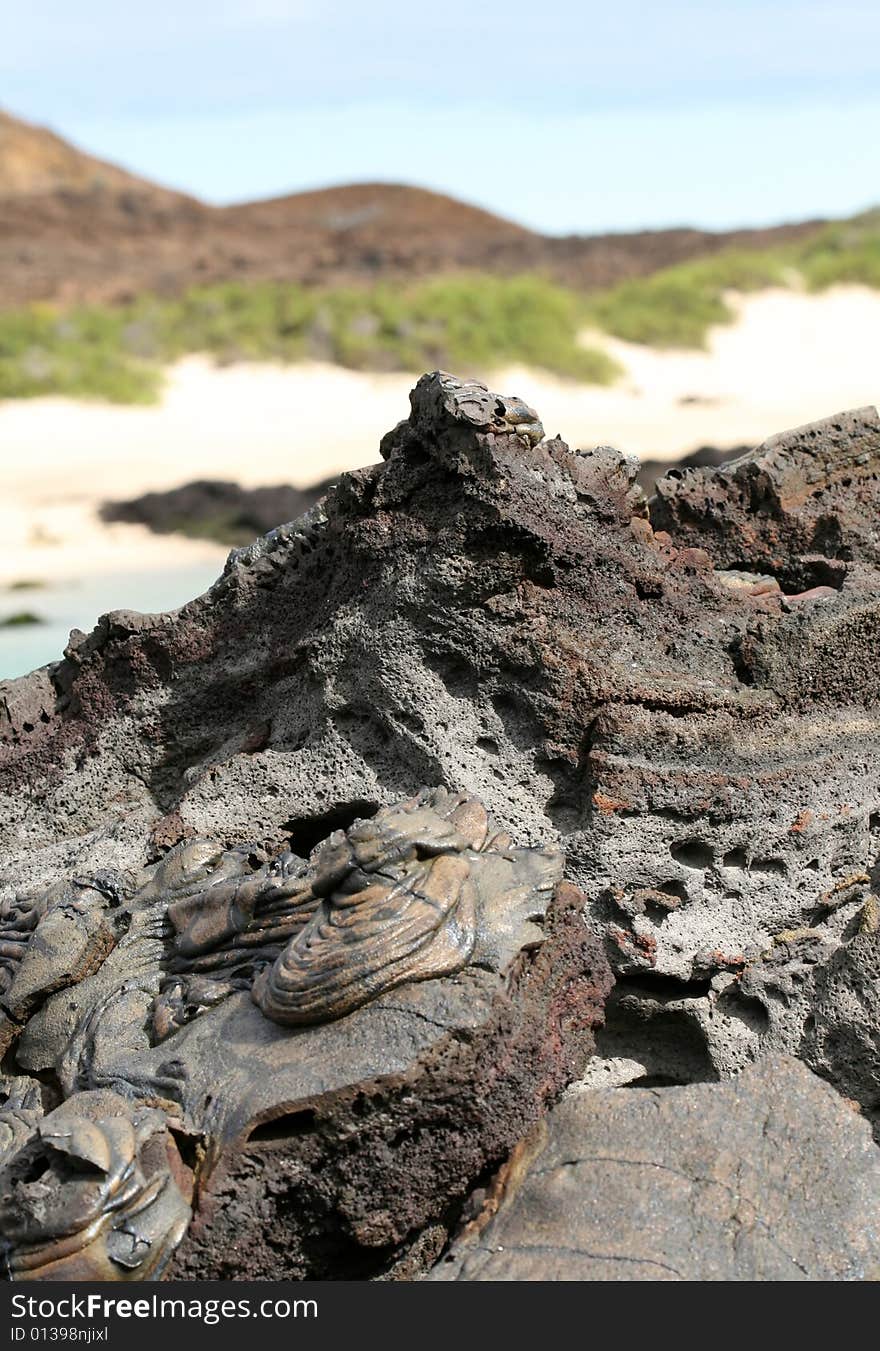 A volcanic lava formation on the shores of the Galapagos Islands. A volcanic lava formation on the shores of the Galapagos Islands