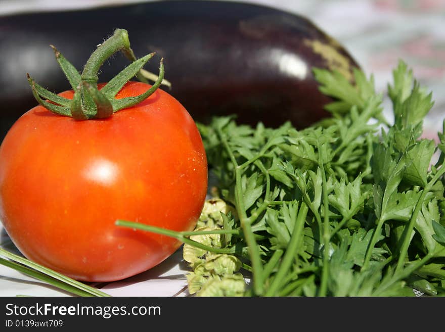 Gardener Vegetables