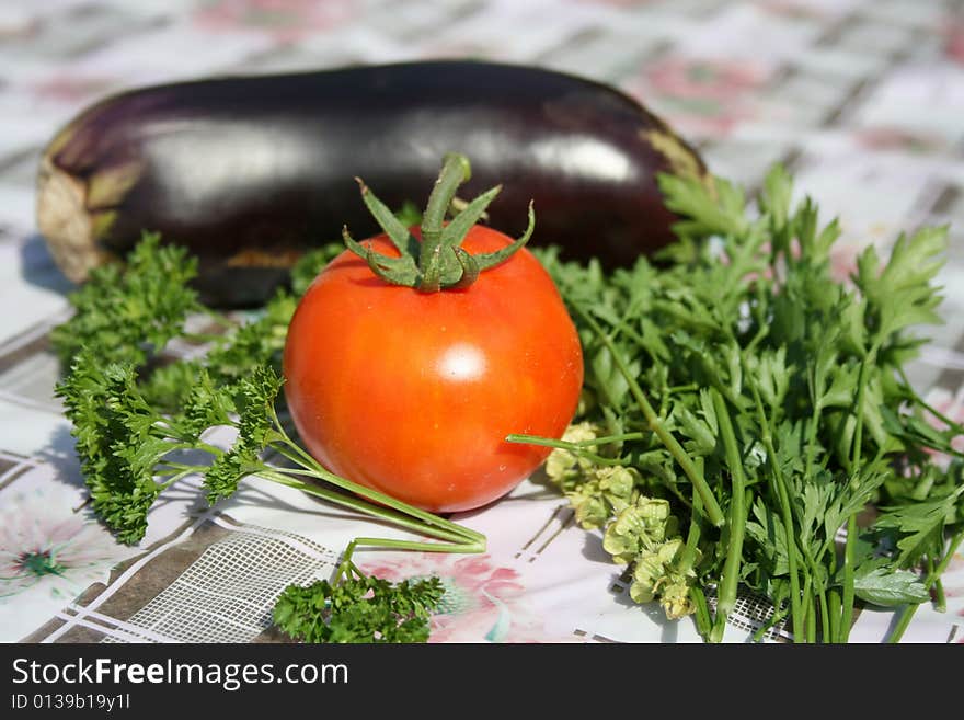 Gardener Vegetables