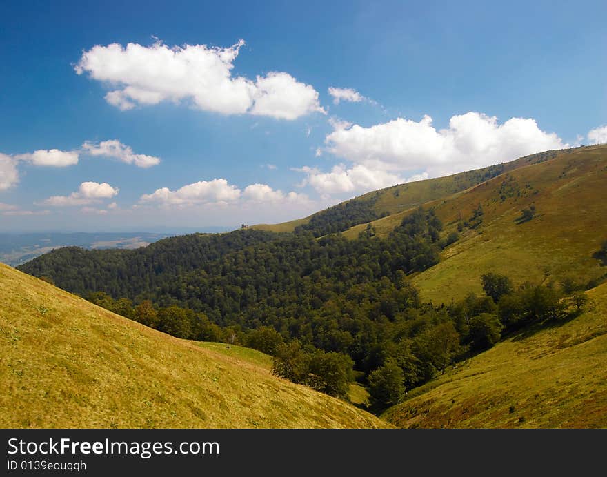 Summer in the mountains background