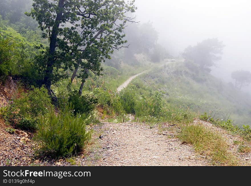 Foggy mountains, road and trees background