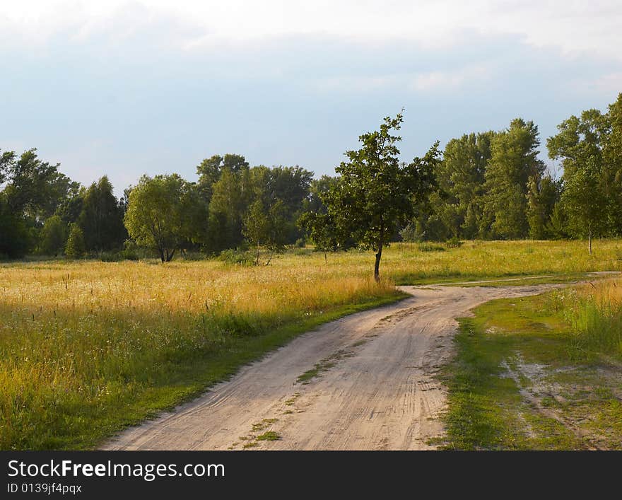 Summer landscape with country road