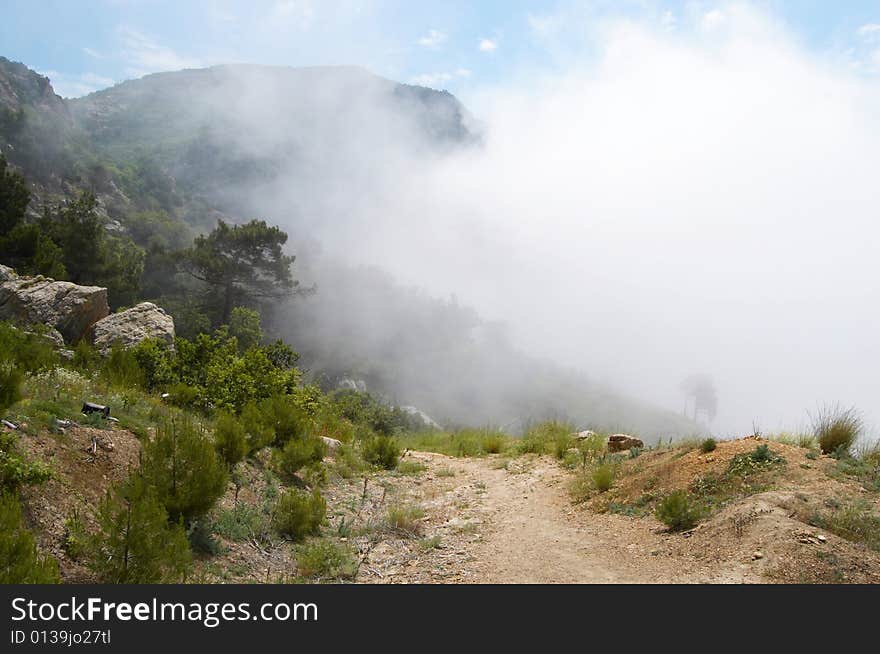 Foggy mountains, road and trees background