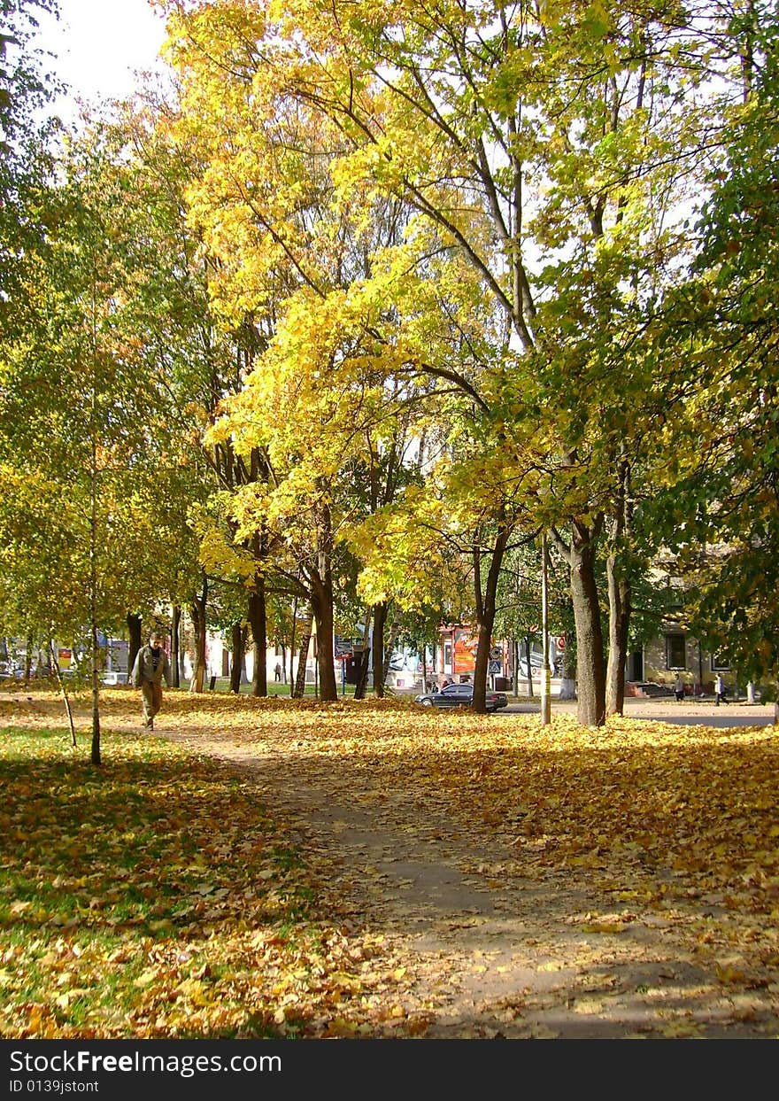 Autumn in the city. Itâ€™s time when trees turn yellow-red and brown and leaves begin to fall down the trees. Autumn in the city. Itâ€™s time when trees turn yellow-red and brown and leaves begin to fall down the trees.