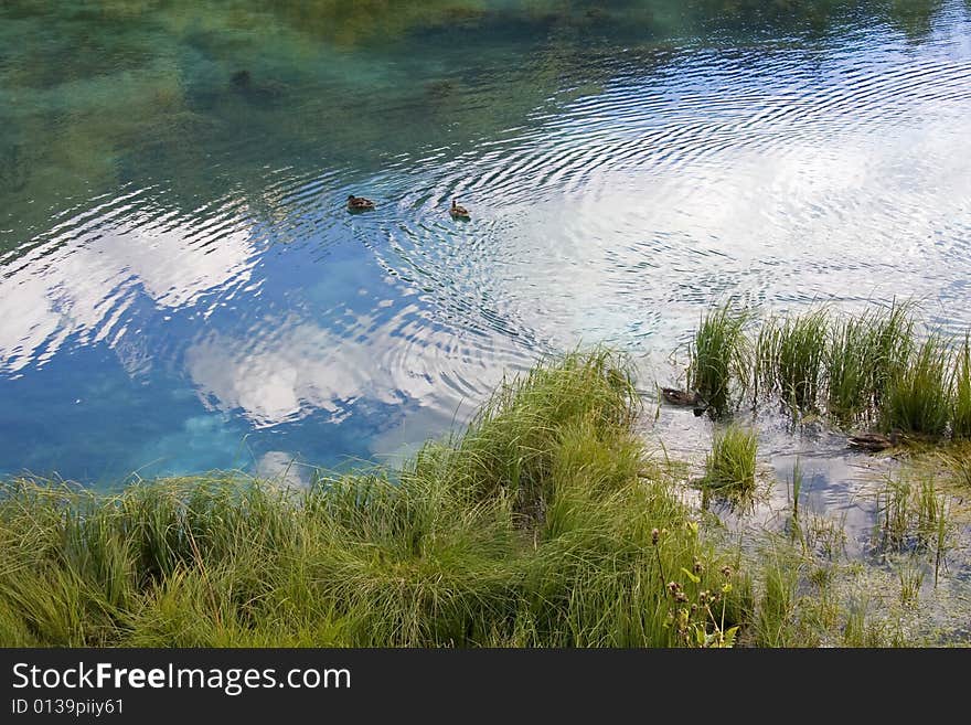 Crystal clear water at the source of the river Sava, near Kranjska gora in Slovenia. Crystal clear water at the source of the river Sava, near Kranjska gora in Slovenia.