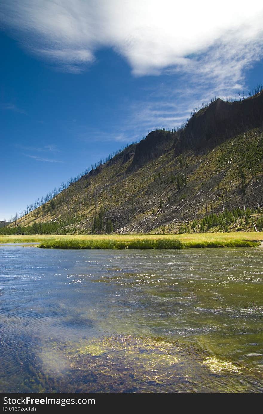 Madison in Yellowstone Park