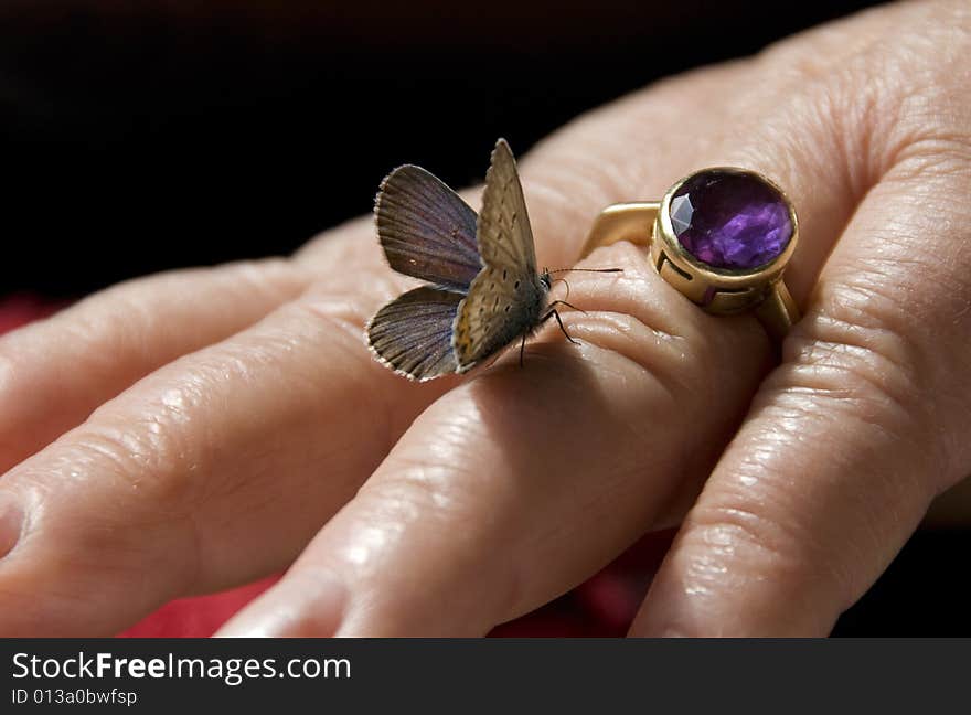 Butterfly on a woman's hand. Butterfly on a woman's hand