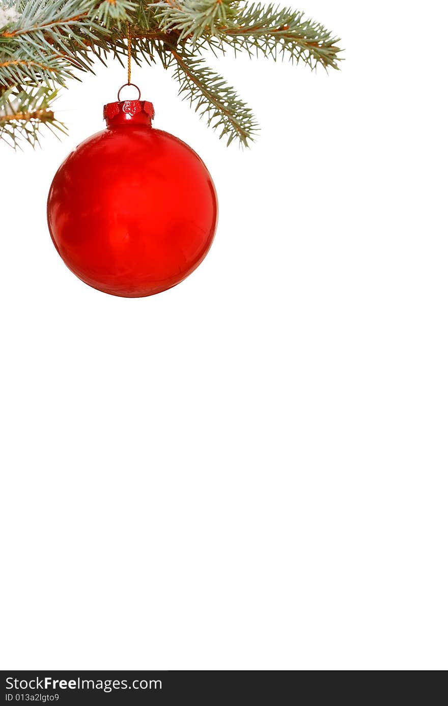 Bright red Christmas bauble on tree isolated  for copy space