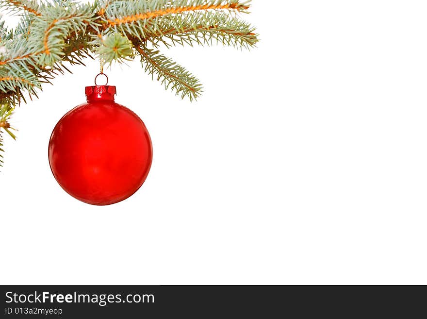 Bright red Christmas bauble on tree isolated  for copy space