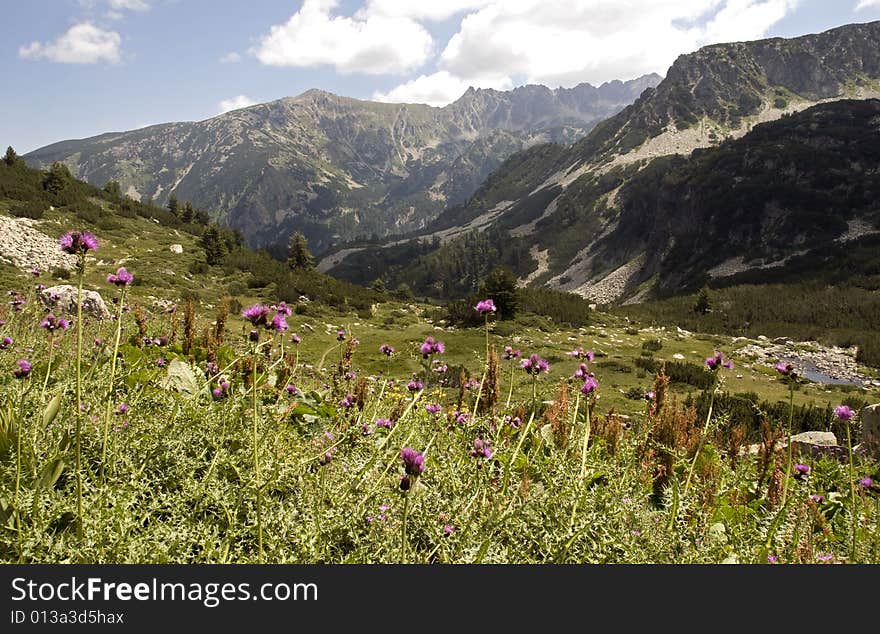 Beautiful nature in the pirin mountains in bulgaria. Beautiful nature in the pirin mountains in bulgaria