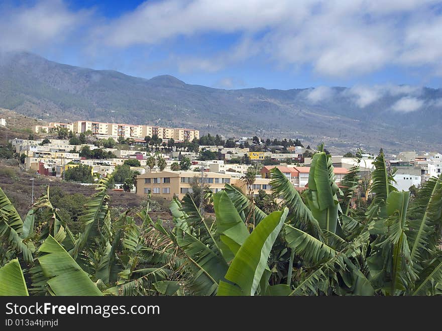 Rural landscape from the island of Tenerife. Rural landscape from the island of Tenerife