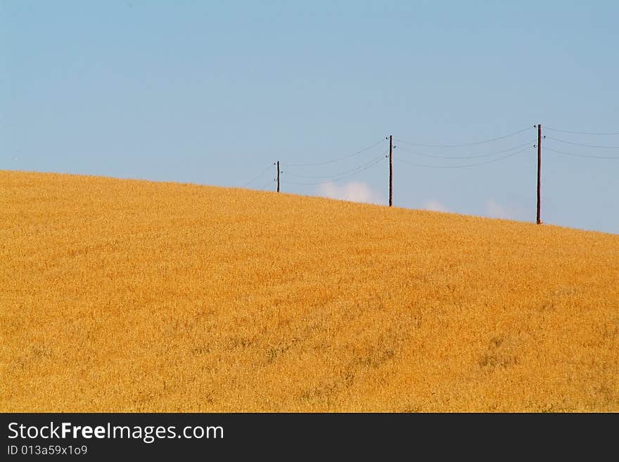 Rural field