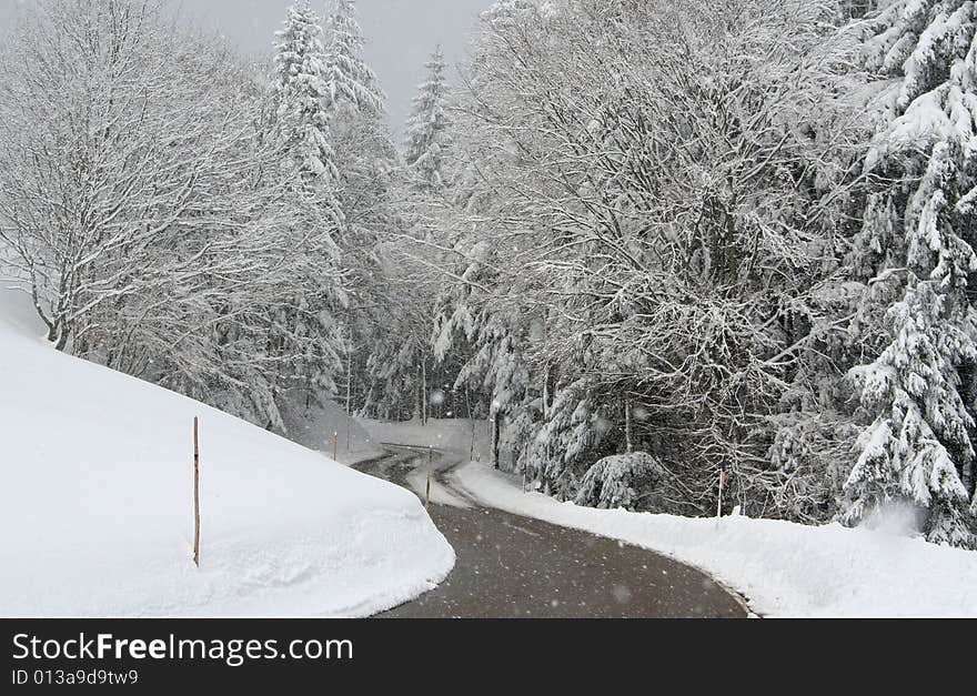 Road in the snowfall