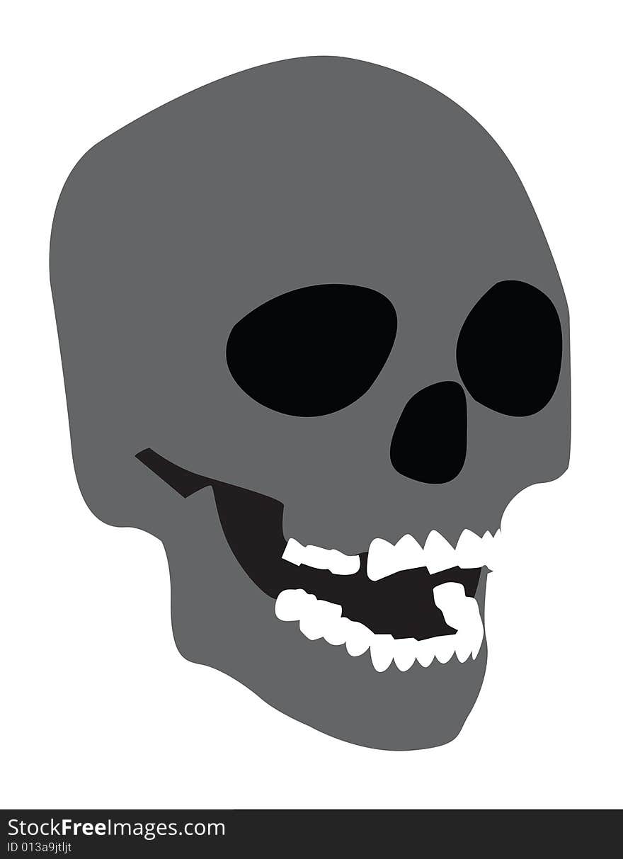 An illustration of a human skull. An illustration of a human skull