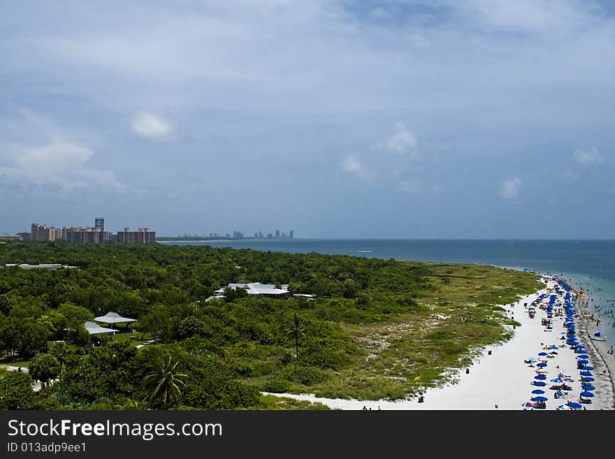 Beach and trees and skyscrapers in the back