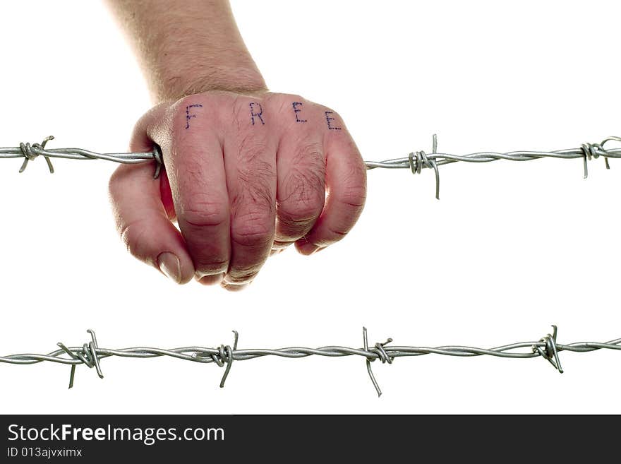 Mans fist on barbed wire. Mans fist on barbed wire