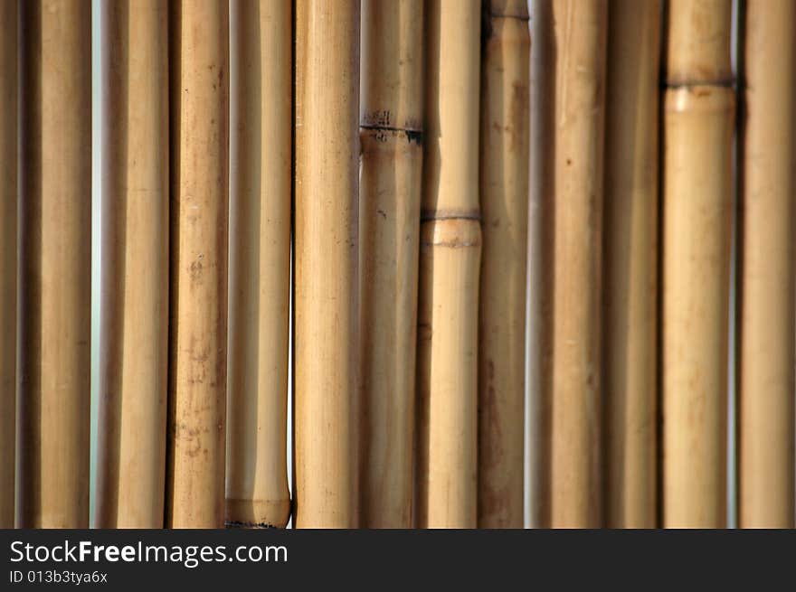 Natural bamboo wall background pattern. Natural bamboo wall background pattern