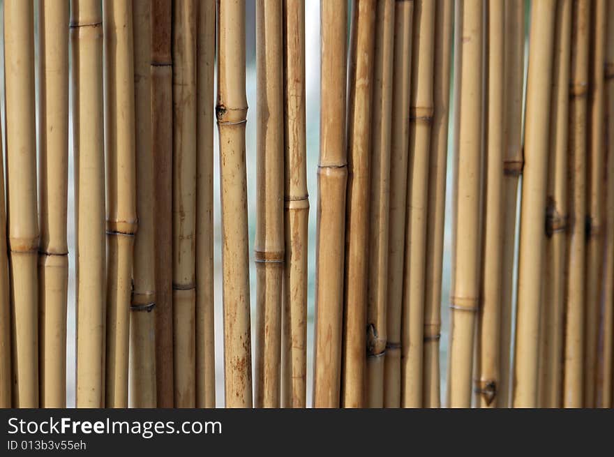 Bamboo background