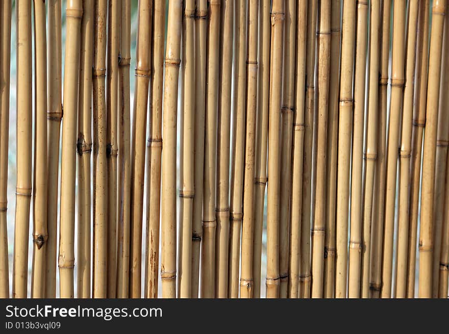 Bamboo background