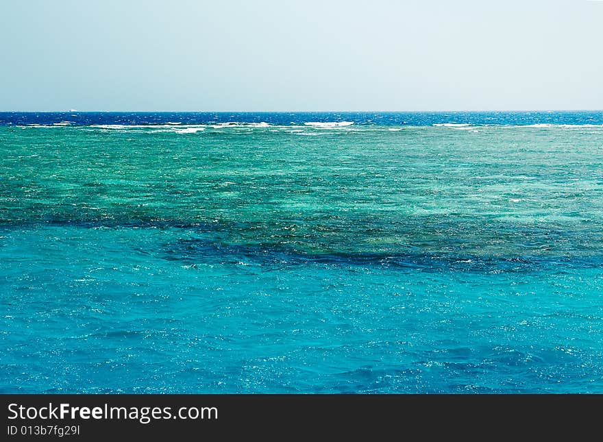 Beauty reefs in the Red sea. Exotic country. Beauty reefs in the Red sea. Exotic country.