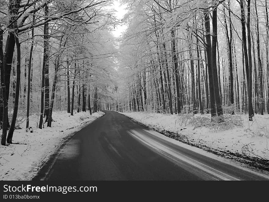 Road in the warm winter