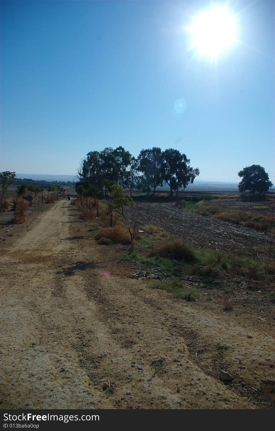 Actually this phorto is part of a projecton the road less travelled. In fact this road is the place where the old Roman Via Apia used to be in Carmona (Seville) Spain. In this particular photo the sun was really shining in mid August. Actually this phorto is part of a projecton the road less travelled. In fact this road is the place where the old Roman Via Apia used to be in Carmona (Seville) Spain. In this particular photo the sun was really shining in mid August