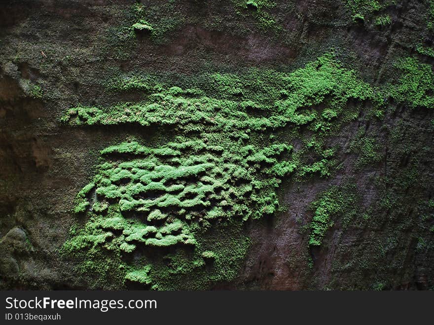 Green Stone Wall