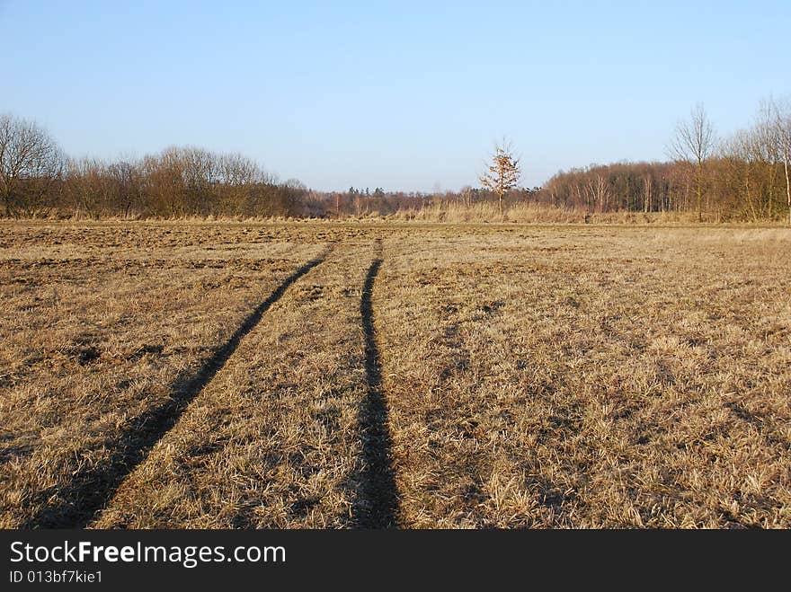 Autumny way in field