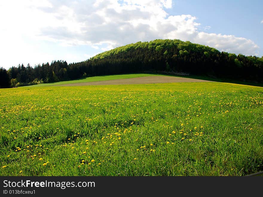 Hills view is photo from czech mountains near by Poland border