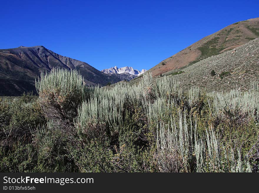 Sawtooth Ridge Landscape