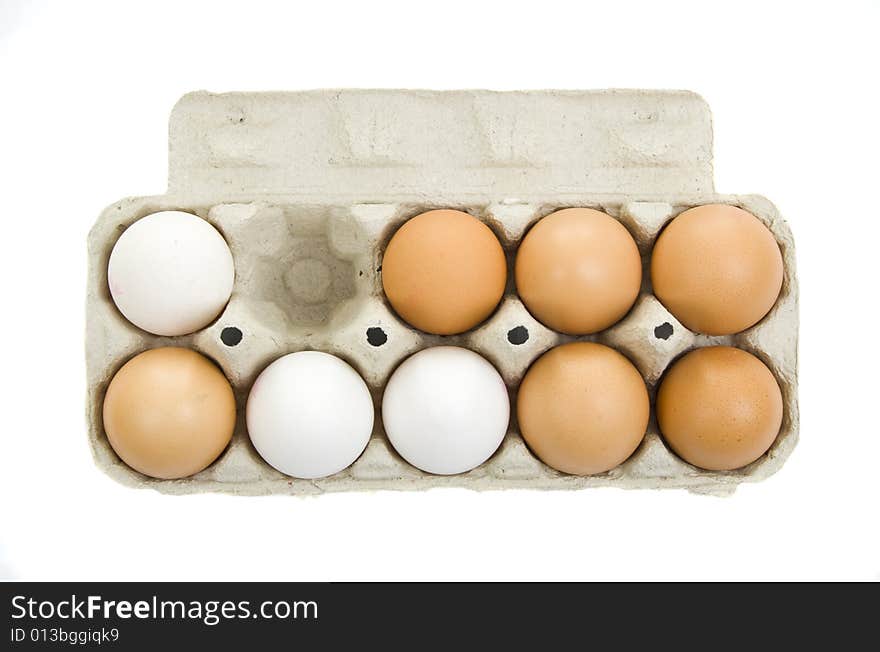 Fresh Eggs