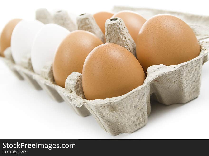 Fresh Eggs