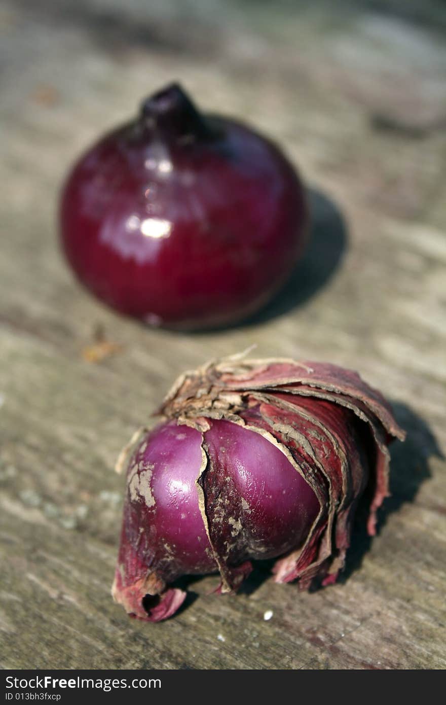 Two heads of onions, shiny and rotten, damaged and healthy, consumable mirror to each other. pick yours. veg, cuisine, still life. Two heads of onions, shiny and rotten, damaged and healthy, consumable mirror to each other. pick yours. veg, cuisine, still life