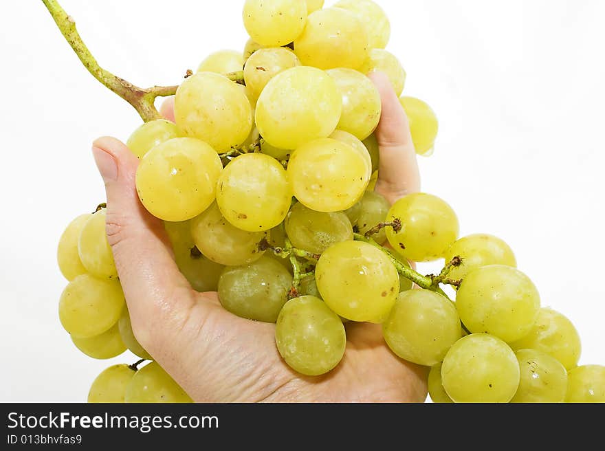 Man holding a yellow grape isolated on white background. Man holding a yellow grape isolated on white background